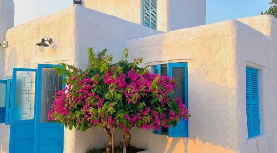 ソンチャマリーナカフェ